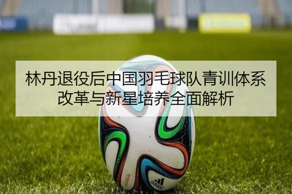 林丹退役后中国羽毛球队青训体系改革与新星培养全面解析